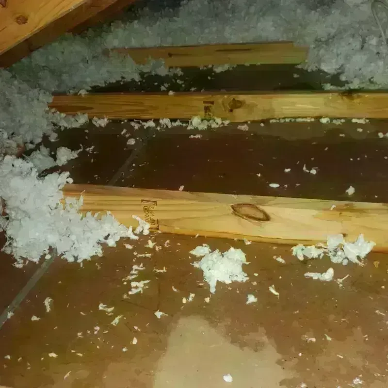 Attic Water Damage in East Flat Rock, NC